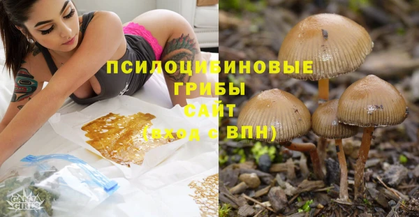ALPHA PVP Алексеевка